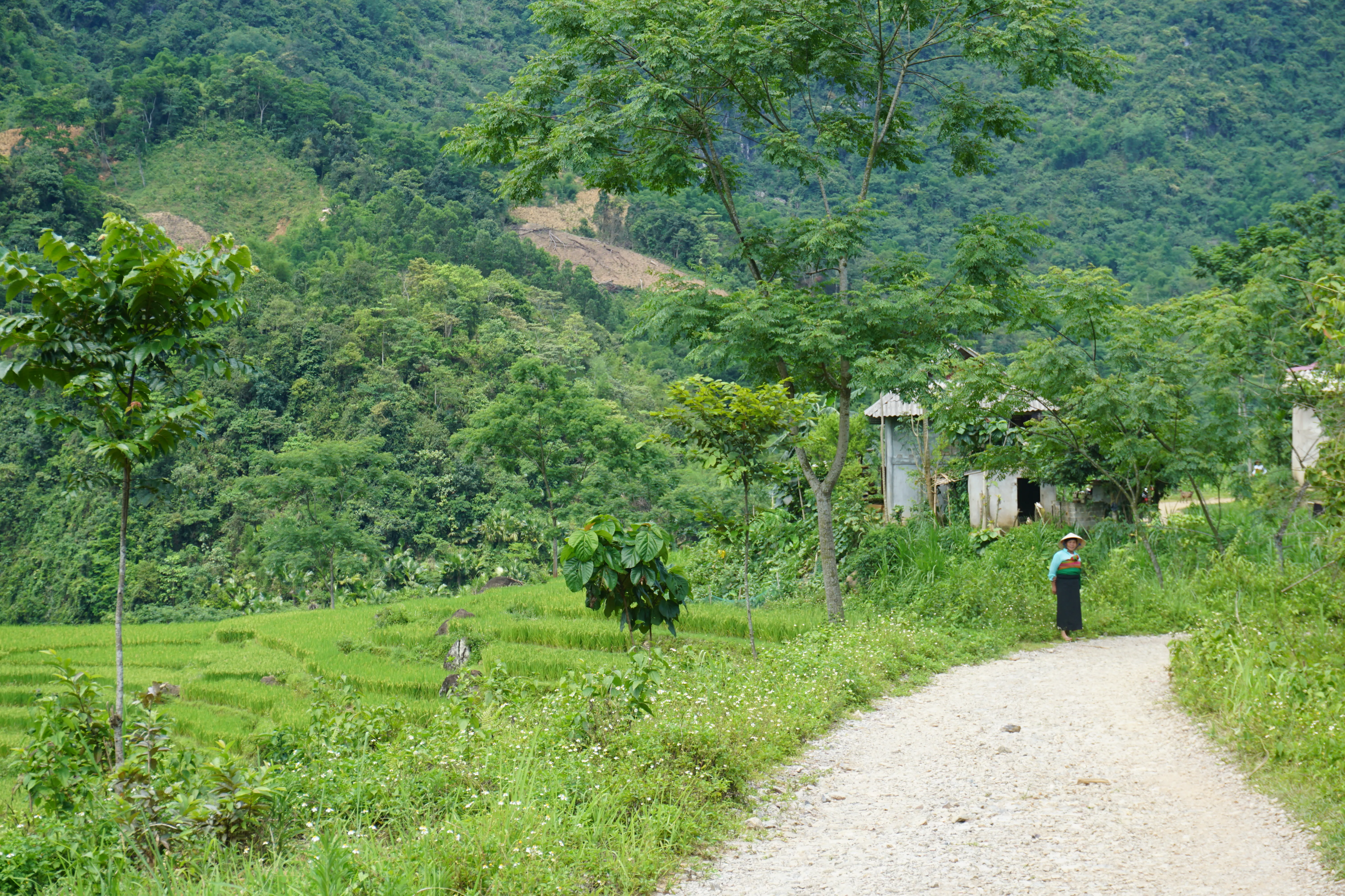 Northern Vietnam 9-Day Cycling: Hmong Homelands, Pù Luông & Song Da Lake
